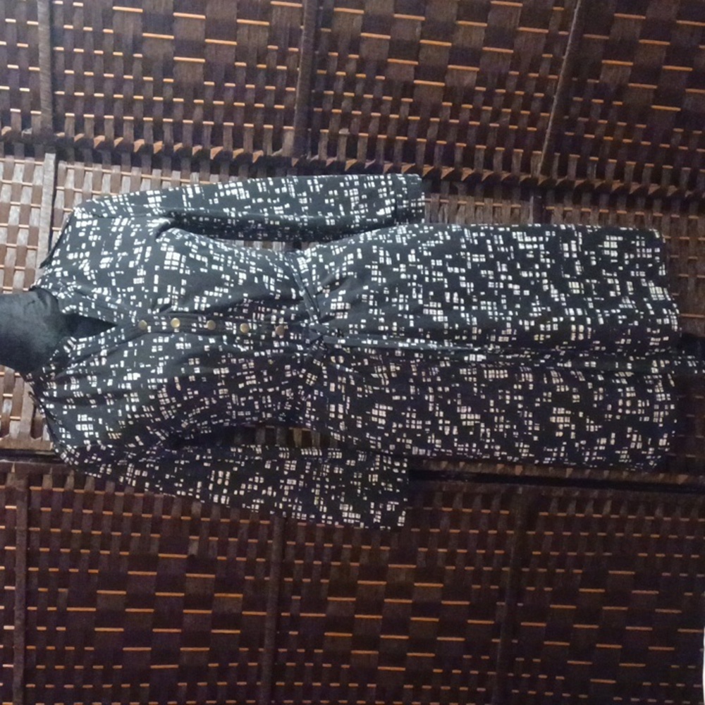 The Limited Lined Longsleeved Dress 100% Polyester Size Small.